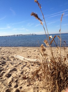 Here's a view of the Bay Bridge — formally known as the William Preston Lane Jr. Memorial Bay Bridge — from the beach at the Terrapin Nature Area. (Vanessa Junkin photo)