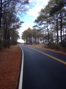 I liked the look of this side road I took during my run. (Vanessa Junkin photo)