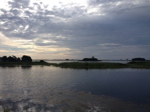 Here's another photo from the Gordons Pond Trail, where I ran with my friend Veronica on Saturday. (Vanessa Junkin photo)