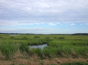 I enjoyed the views along the course. (Vanessa Junkin photo)
