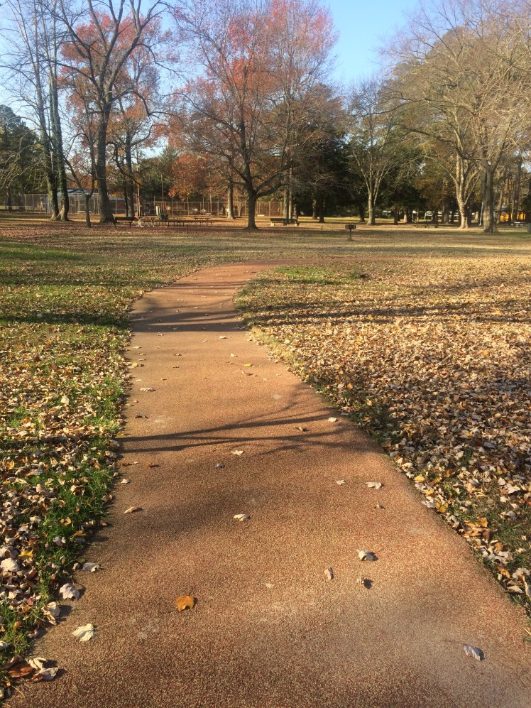 A nice long run through Berlin and its parks – She Runs by the Seashore