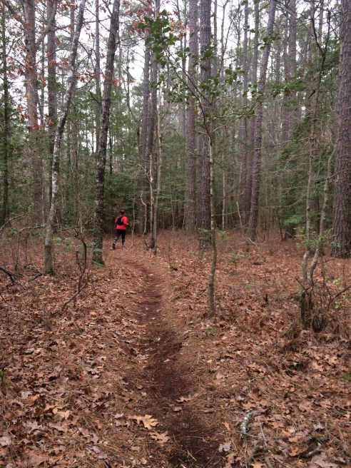 algonquin50k-trail-near-beginning