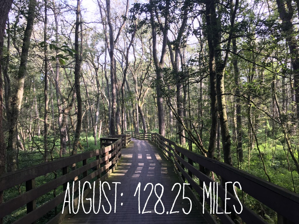 Photo says "August: 128.28 Miles" over a view of a boardwalk-like section in the woods at Trap Pond State Park. 