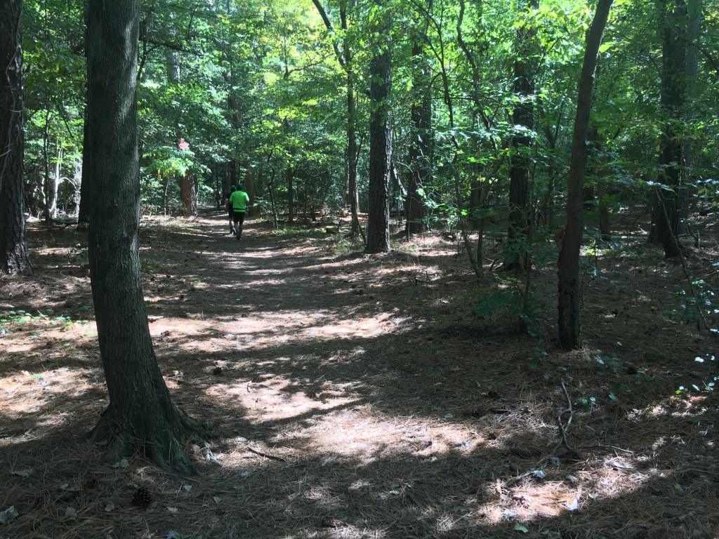 Trail at Pemberton Park with a runner in the distance. 