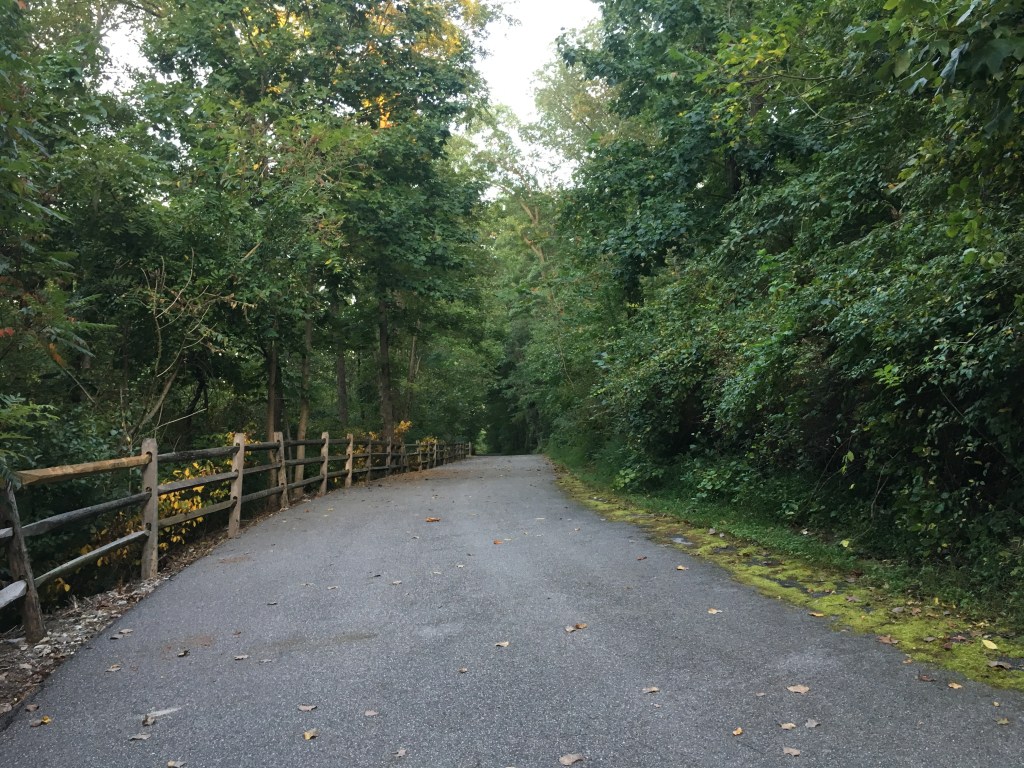 Paved trail with trees on both sides and a fence on the left side. 