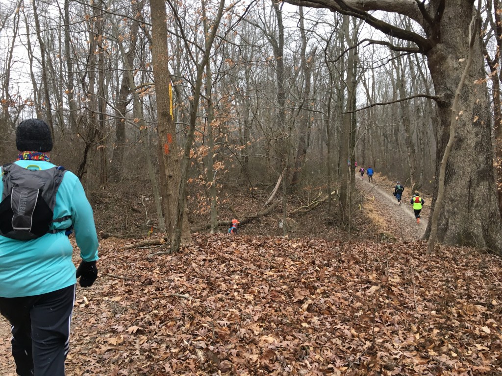 Runners on a leaf-covered trail. 