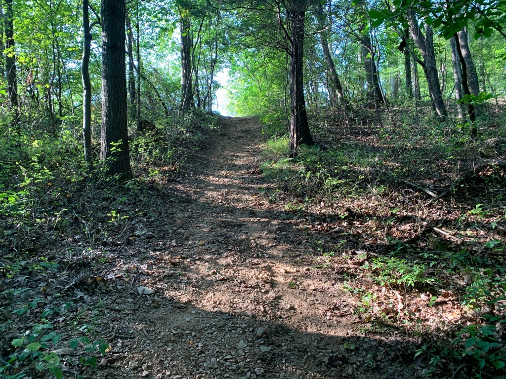 Uphill trail shown among trees. 