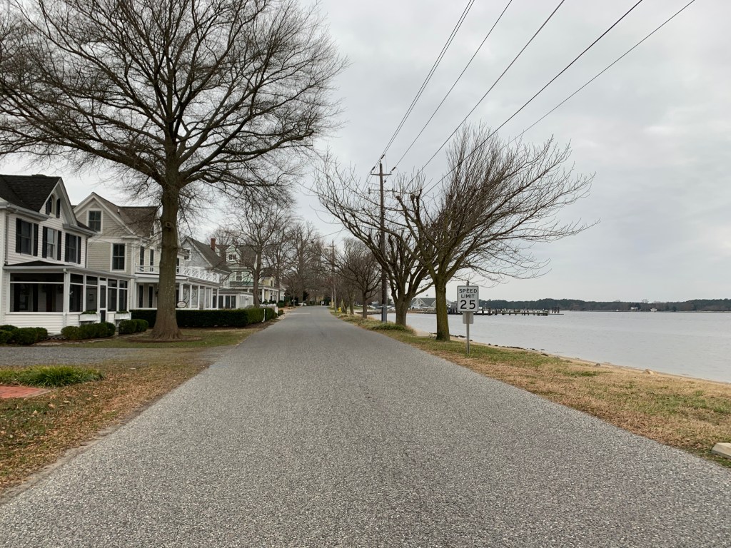 View of street with houses on left and water on right, with trees. 