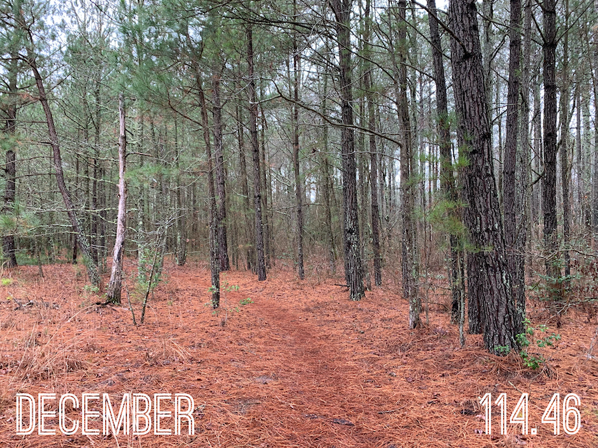 A photo of a wooded trail with the text "December" and "114.46" in text overlaid. 