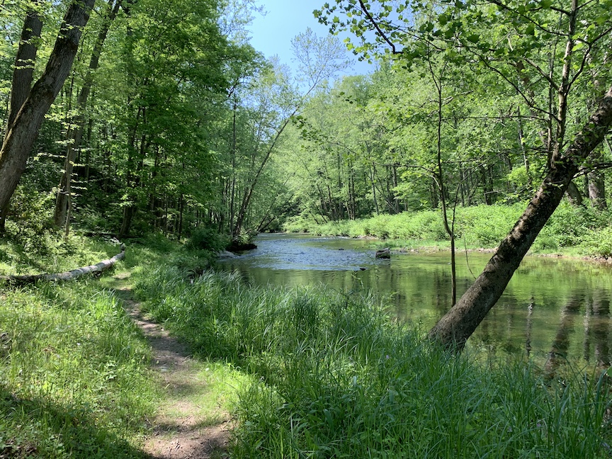 View of trail next to a river with lots of trees.