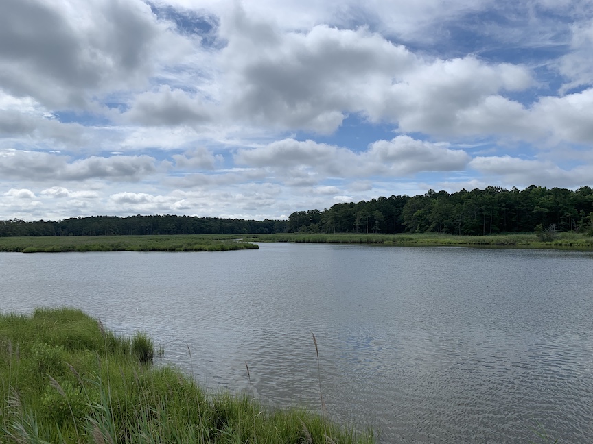 Scenic view of water and trees in the background, with clouds in the sky. 