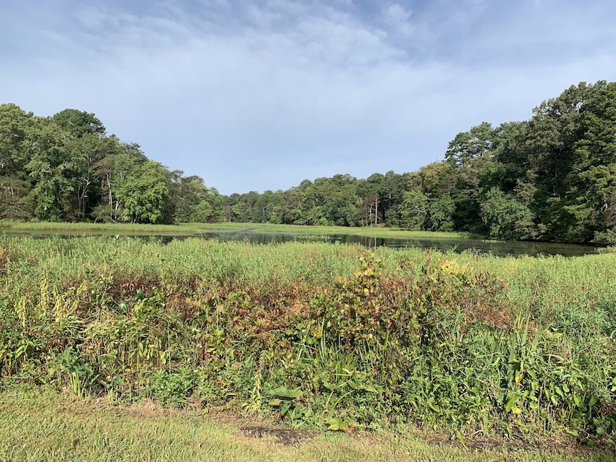 Scenic view from the Dogfish Dash course, including greenery, water and a blue sky. 