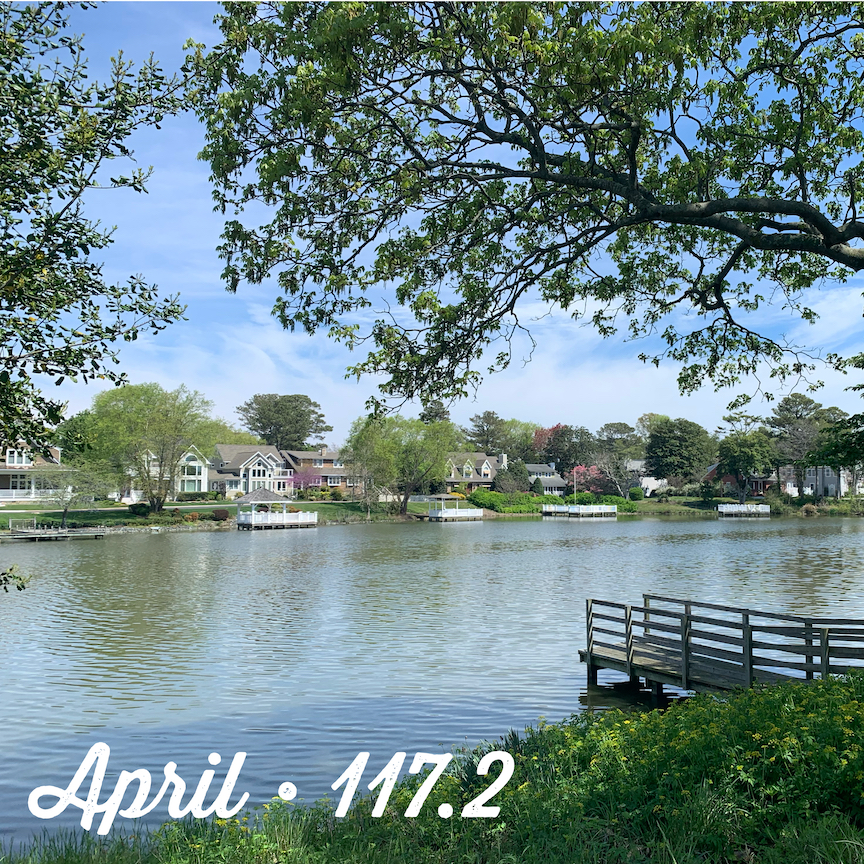 View of waterfront with a tree to the right and houses in the distance with the text "April - 117.2." 