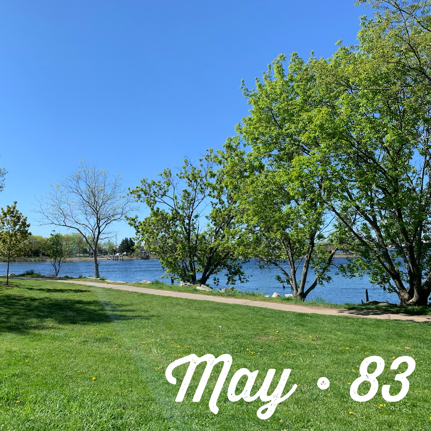 View of park, with grass, path, trees and water, with the text "May - 83." 