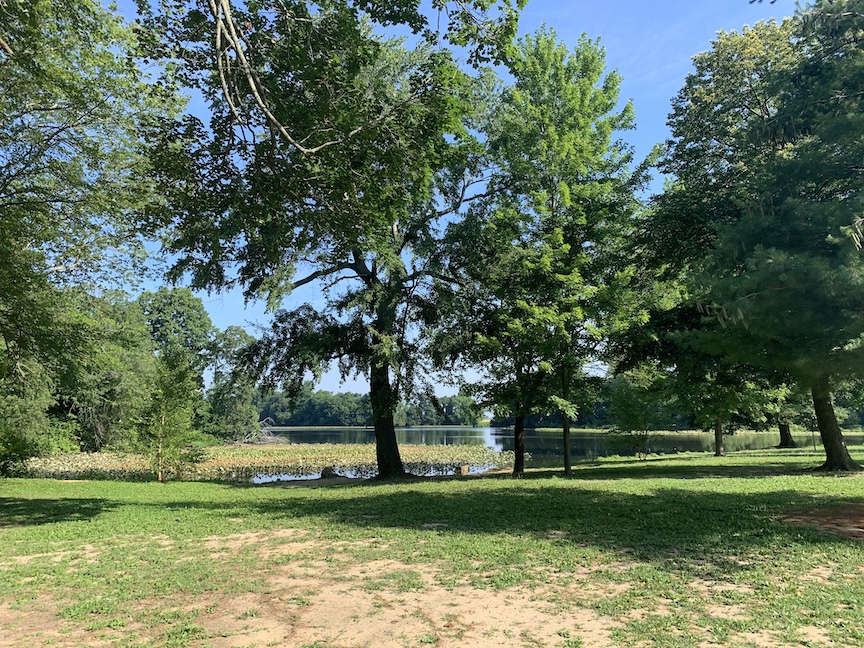 Photo of park with trees, water and grass. 