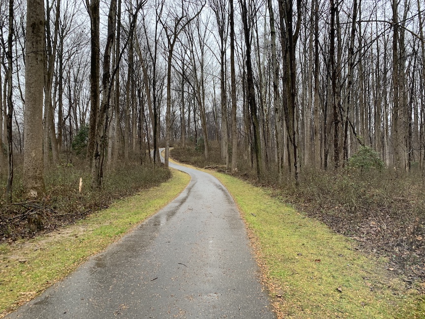 Paved trail winding through the woods in the winter. 