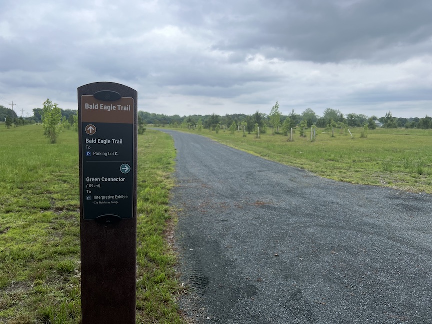 Marker showing "Bald Eagle Trail" and "Green Connector" to the right, with a trail to the right of it. 