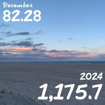 Photo of sunset over the beach with the text "December 82.28" in one corner and "2024 1,175.7" in the other corner.