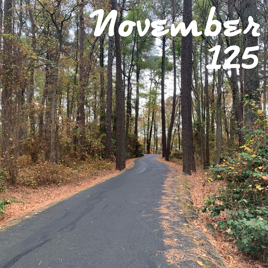 Paved trail in the woods with the text "November 125"