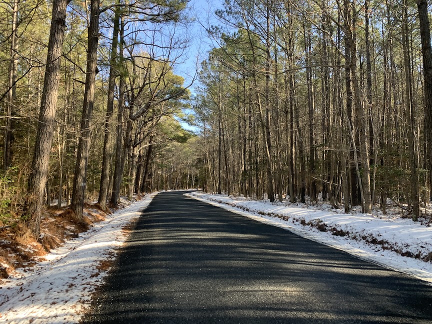 Rural road with snow on both sides and trees on both sides.