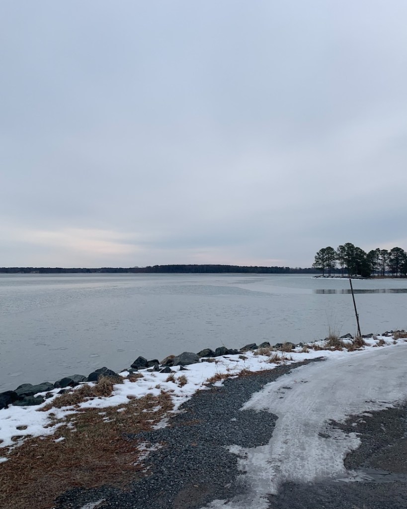 Water view with trees in the distance and ice in the foreground. 