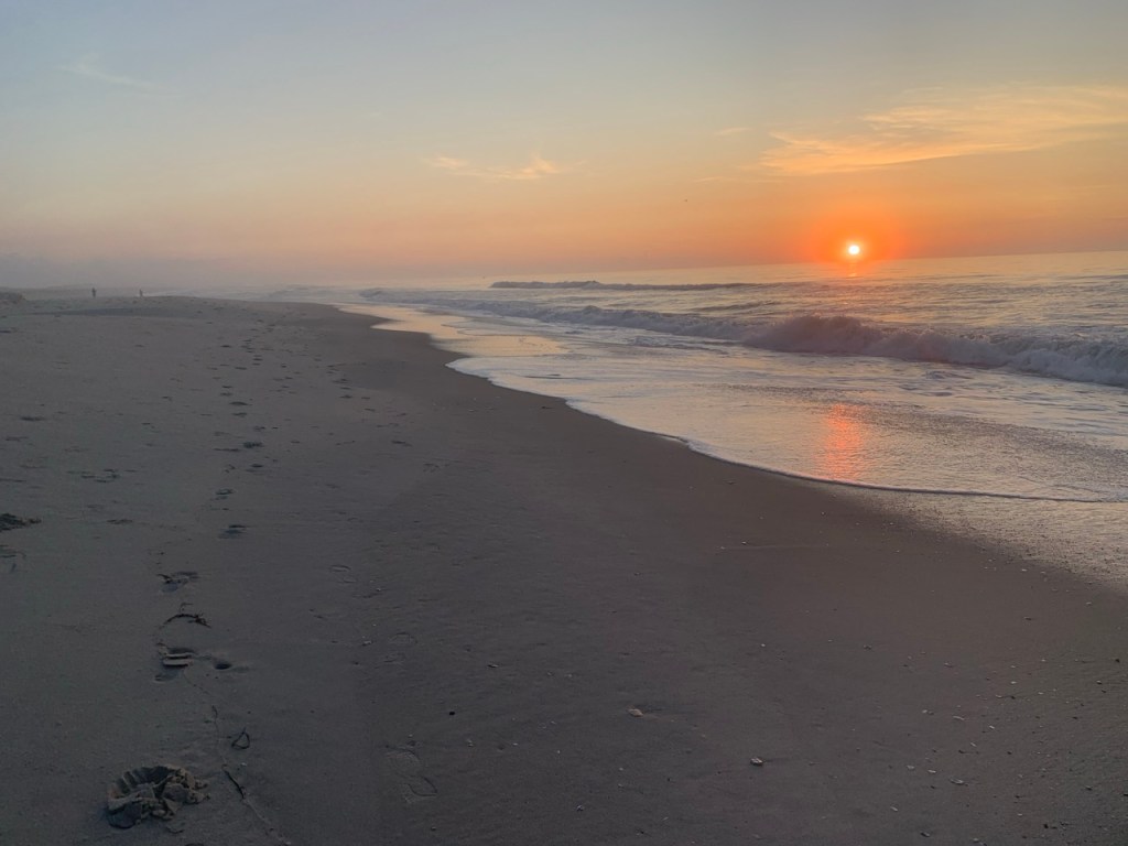 View of the beach at Assateague at sunrise 