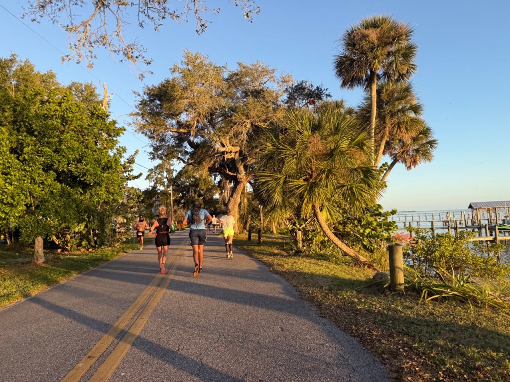 Runners on a road with many palm trees. 