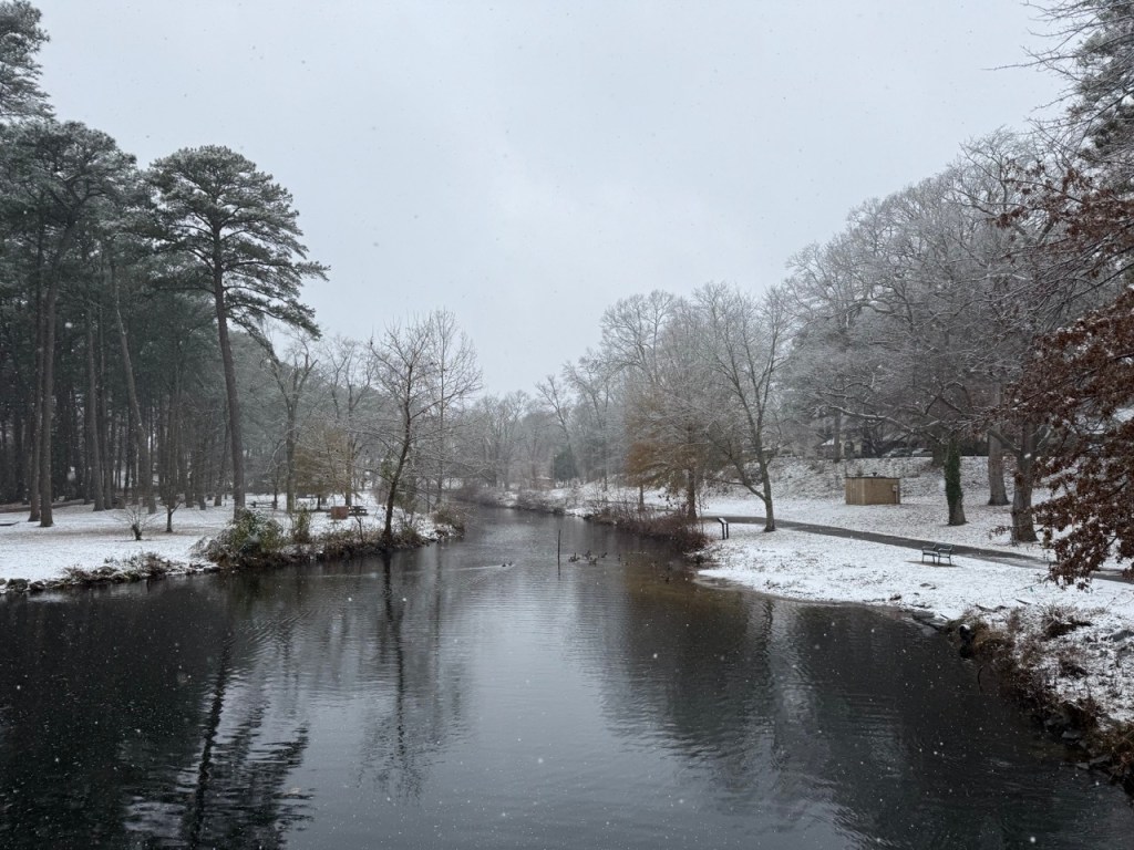 Snowy scene at the Salisbury City Park