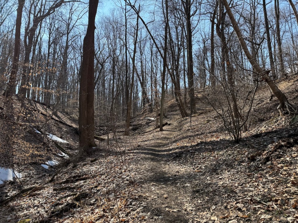 View of trail at Patapsco Valley State Park