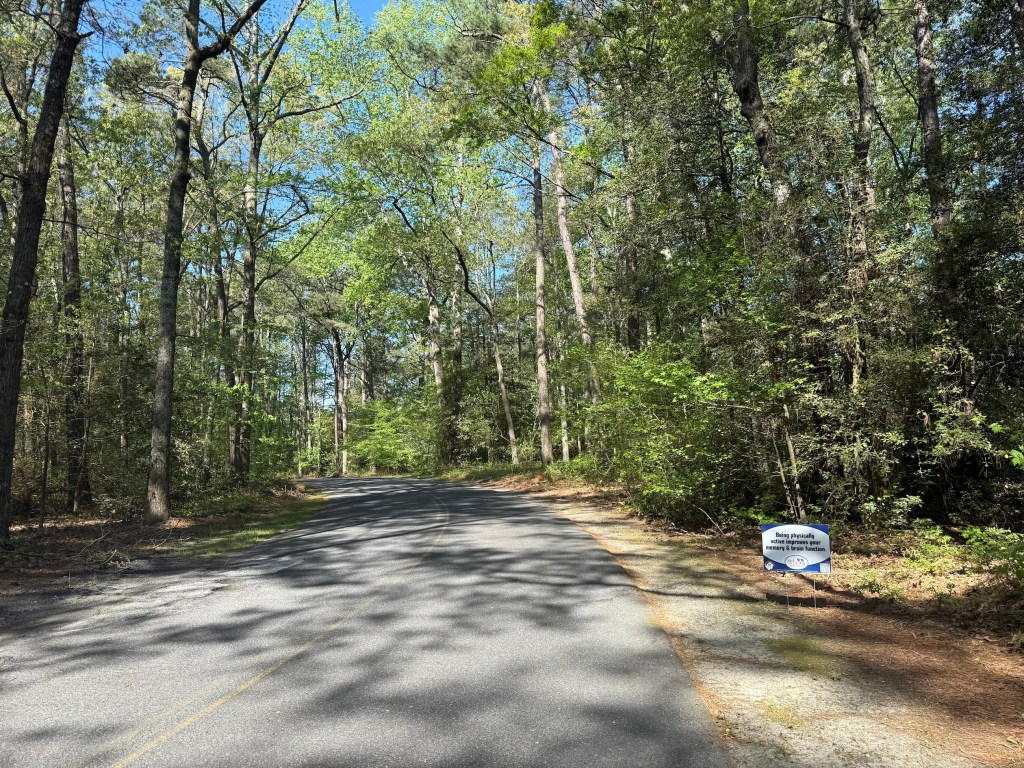 View of the road with trees all around and a yard sign to the right.