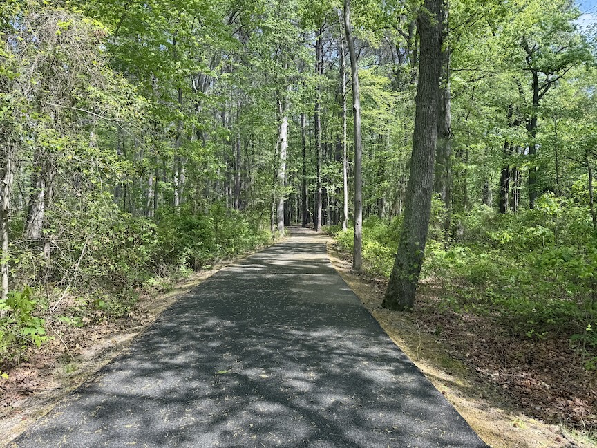 Paved trail going through the woods