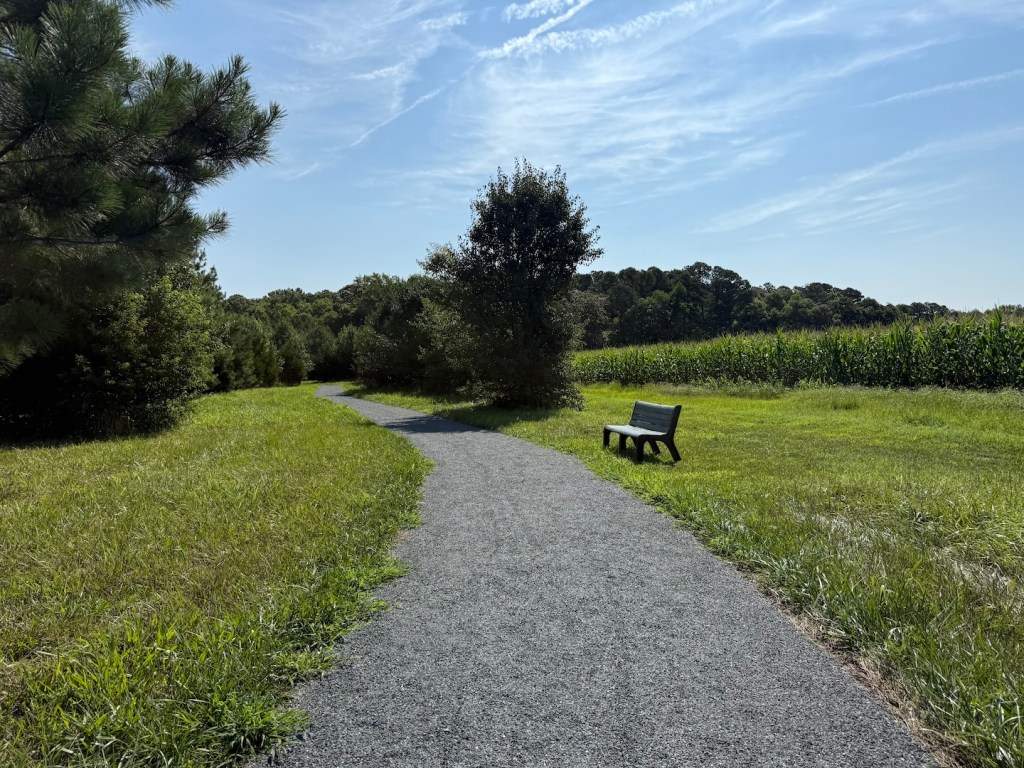 View of the trail at John Walter Smith Park in Snow Hill.